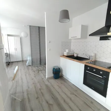 Bel Avec Micro Ext Et Parking Prive Apartment *